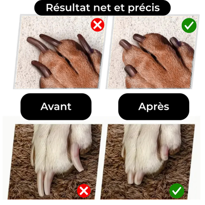 TassCare™ - Coupe et lime les griffes de votre animal en toute sécurité